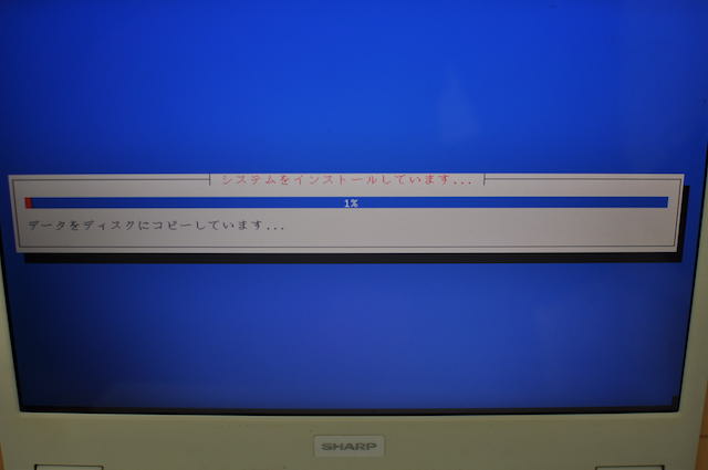 KaliLinuxのインストールディスク設定画面