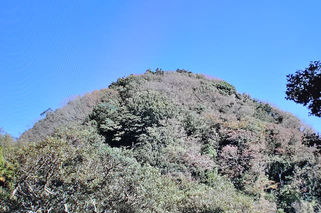 三浦アルプス、約250段の階段